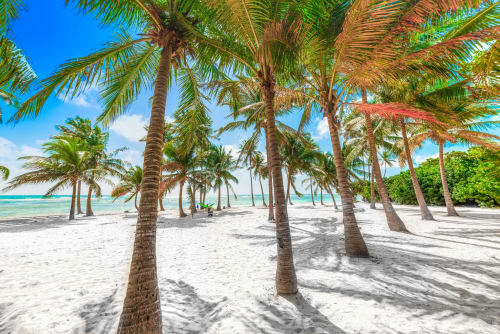 Plage de Bois Jolan | Séjour de Luxe à Sainte-Anne, Guadeloupe
