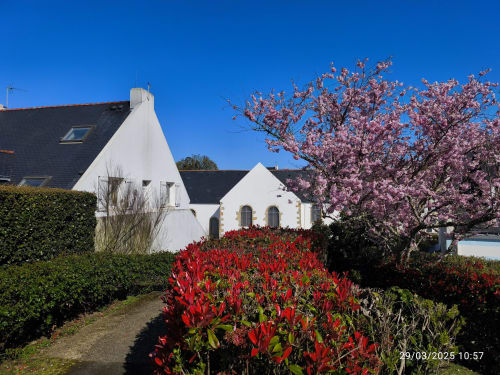 Cottage blanc avec fleurs rouges et magnolia rose en fleur au jardin de Loc'Maria, Belle Île-en-Mer