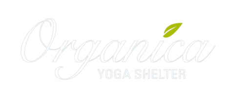 Logo Organica Yoga Shelter avec accent de feuille, une retraite de yoga à Paquera, Costa Rica
