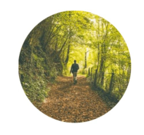 Persona de espaldas caminando por un bosque, haciendo una ruta de senderismo en Camprodon