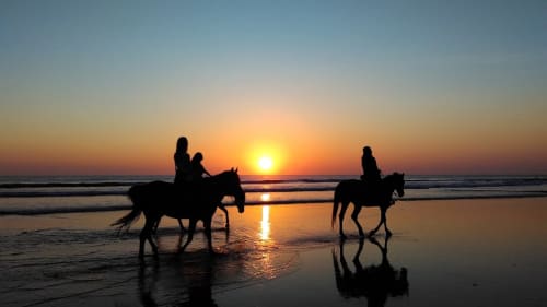 Deux cavaliers à cheval en silhouette au coucher du soleil sur la plage de Puntarenas près du refuge Organica Yoga