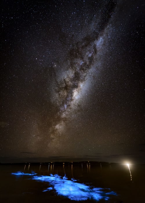 Milky Way galaxy above bioluminescent beach at Organica Yoga Shelter, Puntarenas, Costa Rica