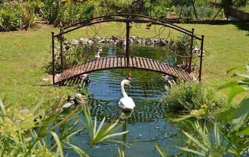 In the surroundings of the house. Bridge with duck on a lake | Casa da Pedrosa: Your Ideal Retreat in Ponte de Lima, Portugal