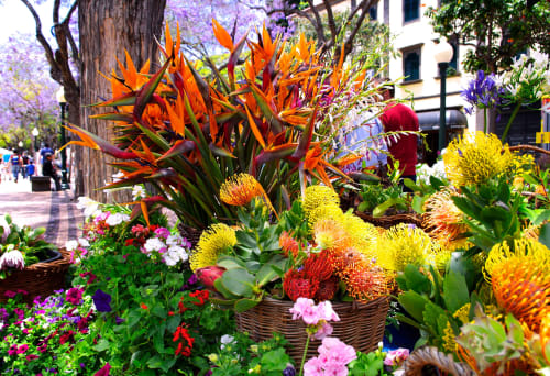 INTERNATIONAL GARDEN FESTIVAL | Casa da Pedrosa: Your Ideal Retreat in Ponte de Lima, Portugal