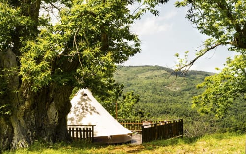 Tenda Glamping sotto i castagni - Campeggio di in Toscana