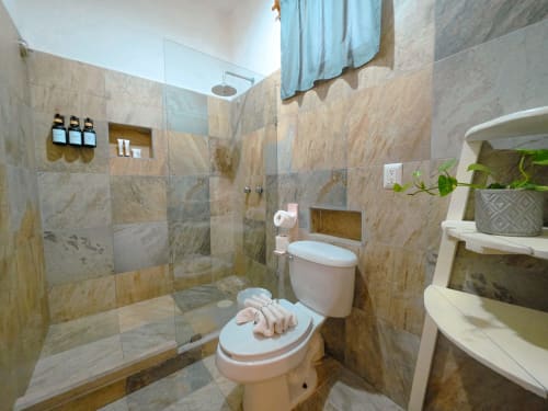 Baño moderno con paredes de azulejos de piedra, ducha abierta, inodoro y planta en maceta en el Hotel 40 Cañones, Mahahual, México