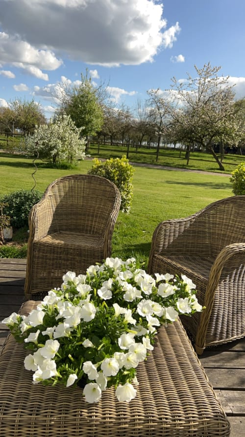 Un moment de pause sur la terrasse dans le jardin parmi les pétunias blancs du Clos Mahiel, Saint-Romain-de-Colbosc