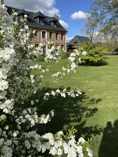 Le manoir du Clos Mahiel avec arbustes à fleurs blanches et pelouse bien entretenue à Saint-Romain-de-Colbosc