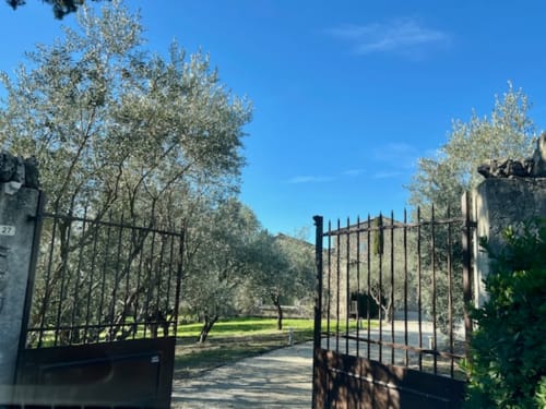 IJzeren poorten die opengaan naar de met olijfbomen omzoomde oprijlaan van Provence Km28 B&B in Gordes, Frankrijk