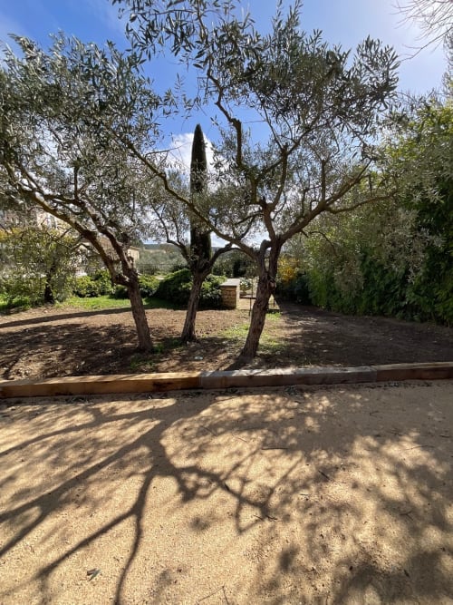 Olijfbomen in de Provençaalse tuin van Km28 B&B in Gordes Frankrijk, met cipressen en helderblauw hemel