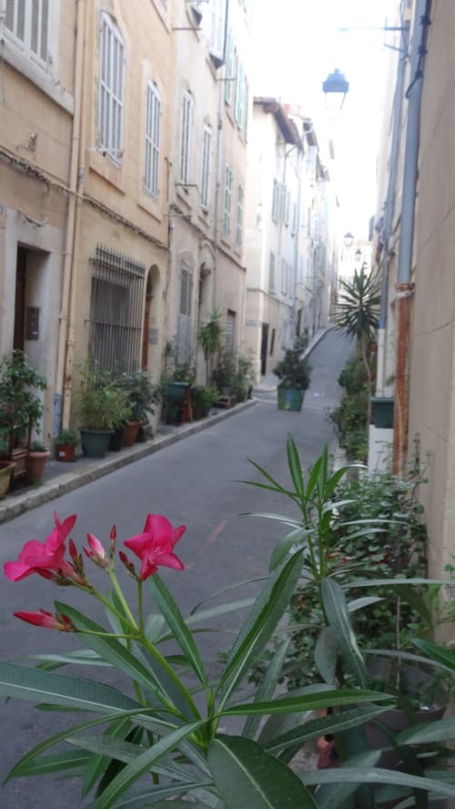 Street | Experience Comfort and Charm at La Piboule Marseille