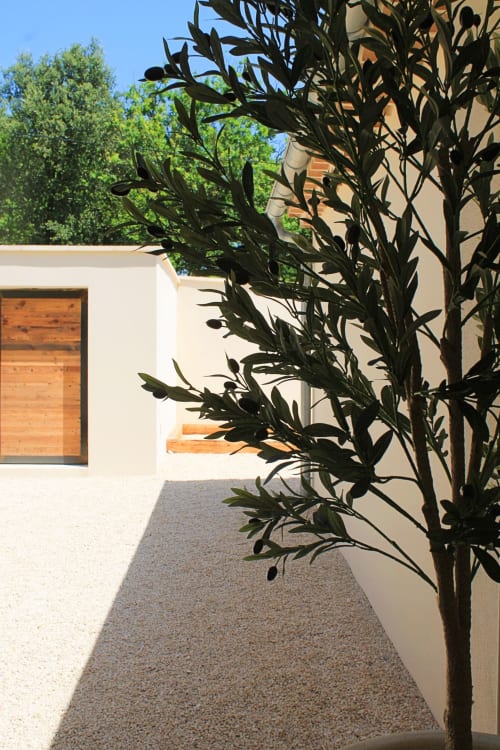 Cortile moderno di La Maison D'ambrine, Chamaret con ulivo e porta in legno