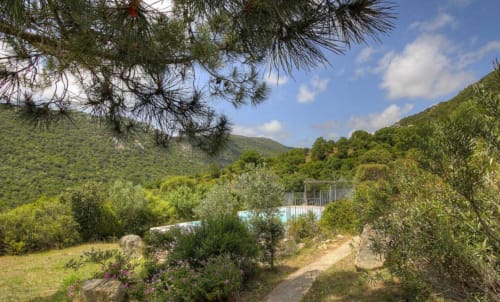Jardin de l'hôtel Vista D'oro avec pins, oliviers et vue sur les collines de Monacia d'Aullène, Corse