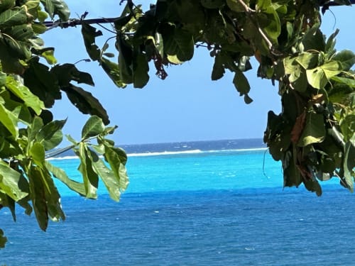 Vista tropical del océano enmarcada por exuberante vegetación en el boutique lodge Seaflower, San Andrés
