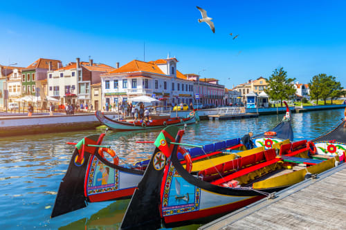 Coloridos barcos moliceiros tradicionais na ria de Aveiro com edifícios históricos e céu azul