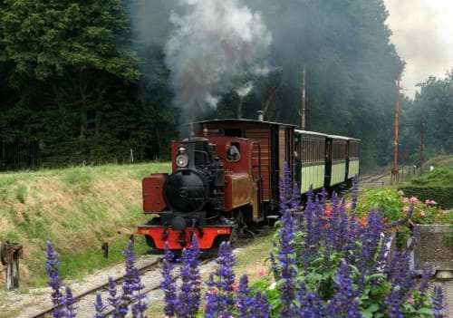 Historic steam train with purple flowers traveling through forest near Ilot Cosy and Spa, Luçay-le-Mâle