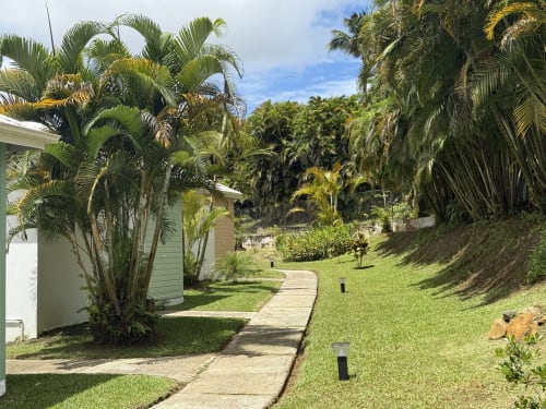Allée luxuriante du jardin tropical avec palmiers au Domaine de la Glacière, Petit-Bourg, Guadeloupe