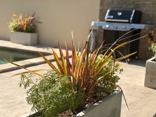 Patio soleggiato della Maison D'ambrine B&B a Chamaret con graminacee ornamentali e piante in vaso