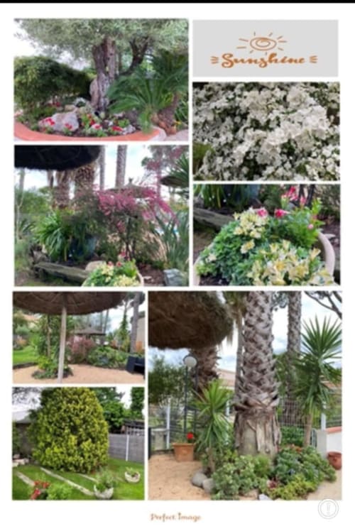 Mes petits coins fleuris dans le parc, autour de la piscine