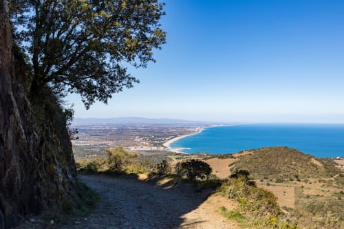 Sentier qui mène a la tour de la Massane ou les Coloumates. Vue Magnifique. à découvrir.... Ne pas oublier l'eau !!!