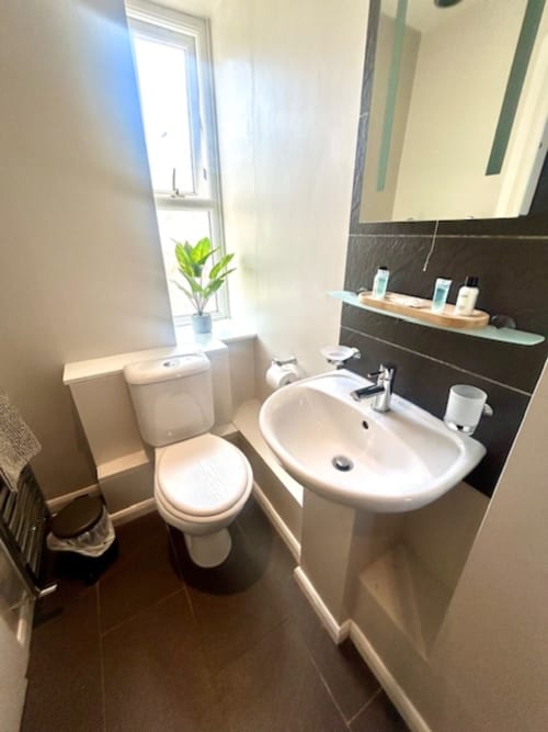Modern bathroom at The Railway Hotel with white toilet, oval sink, mirror, window with plant, and dark tile accents