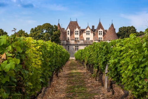 Vignoble du château en Aquitaine avec ses rangs verdoyants encadrant l'élégante architecture du château historique