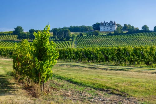 Paysage viticole de Bordeaux avec élégant château, Saint Germain et Mons, France