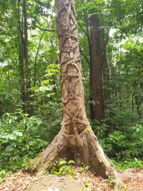 Foret de montravail