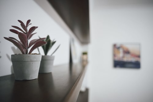 Piccola pianta succulenta in vaso con foglie rosso scuro su una mensola nella camera d'albergo di Roma, luce naturale soffusa