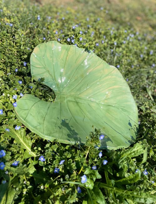 Large green leaf with blue flowers in garden at La Cascina di Bea, Torre Boldone, Bergamo