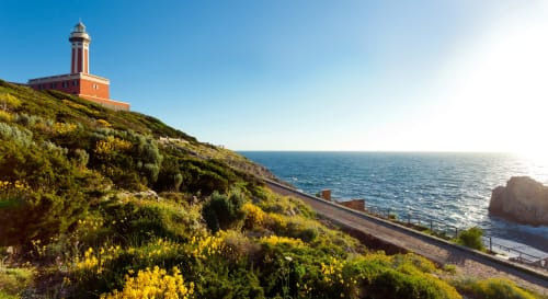 Faro rosso sulla costa rocciosa di Capri con il Mar Mediterraneo e fiori gialli selvatici