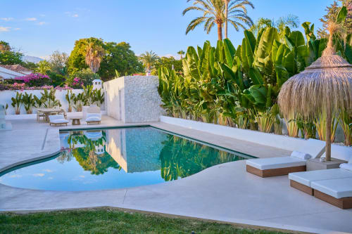 Esclusiva area piscina della Conciergerie Capri con acqua turchese, lettini bianchi, piante tropicali e palme sotto il cielo azzurro