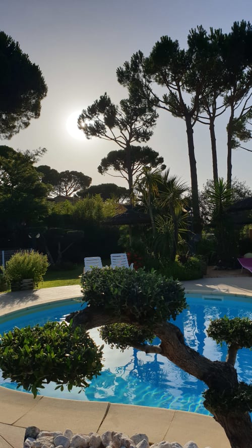 Piscine des propriétaires, a partager, dans le Mas la Senia, Parc arboré et fleuri, entretenu et soigné, tout est mis en place pour bien vous accueillir