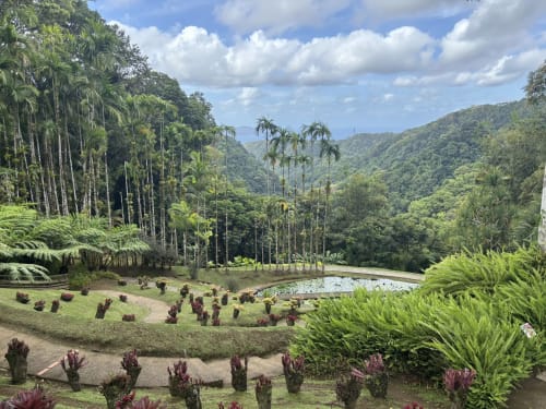 Les jardins de Balata