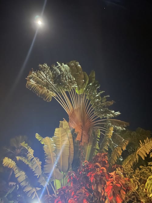Pleine lune à la Villa Manguier