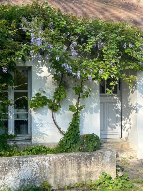 Jolie maison fleurie, bucolique