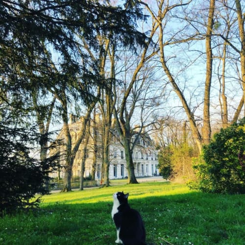 Le château vu de la maison