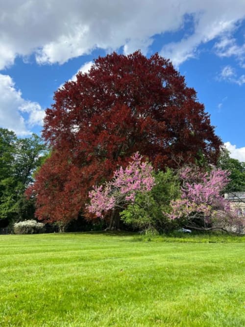 Un grand parc de 3,5ha