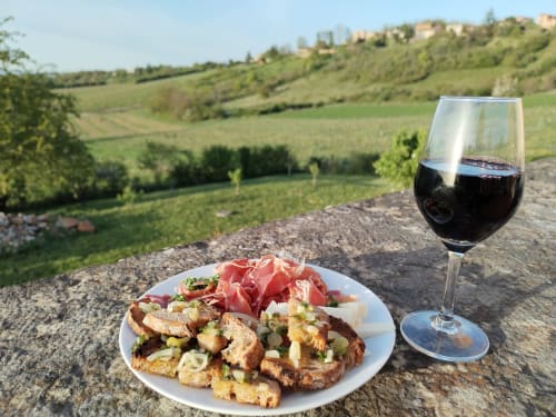 assiette de charcuterie et toasts et verre de vin rouge, maison de pagneux, chambres d'hôtes en Beaujolais des Pierres dorées