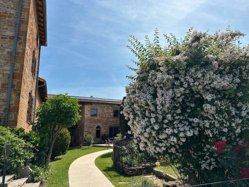 chemin d'accès vers la maison, avec arbre en fleurs, maison de pagneux, chambres d'hôtes en Beaujolais des Pierres dorées
