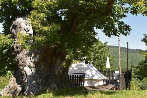 glamping in maremma toscana