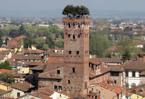 Torre storica in mattoni Guinigi Tower, con albero in cima, La Torre Giunigi, che domina il paesaggio di Lucca, Italia
