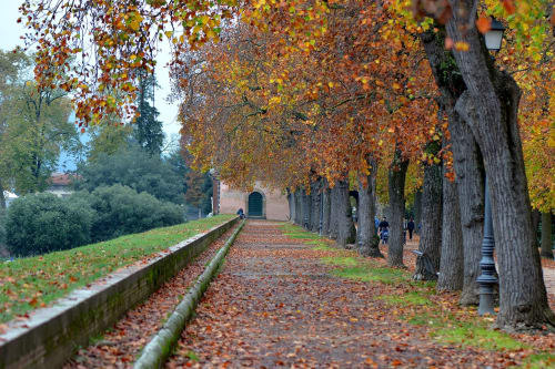 La passeggiata sulle Mura di Lucca in autunno con alberi dorati che racchiudono il centro storico, Italia vicino a Il Linchetto B&B