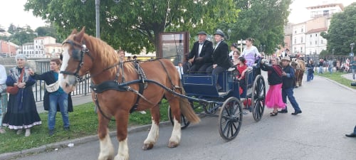 Cortège de calèches traditionnelles à Alès, France avec passagers en costumes d'époque et spectateurs alignés dans les rues