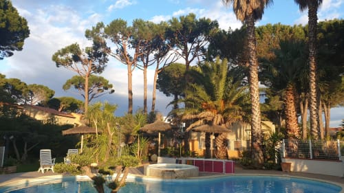 Piscine des propriétaires, a partager, dans le Mas la Senia, Parc arboré et fleuri, entretenu et soigné, tout est mis en place pour bien vous accueillir