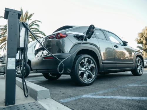 Electric vehicle charging at parking station with palm trees, Les logis de Kergoulou, Concarneau
