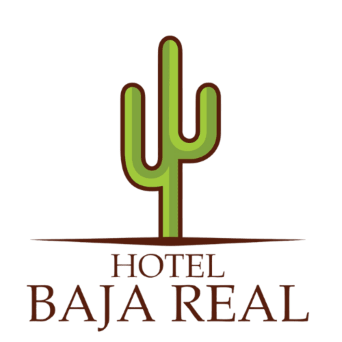 Logo del Hotel Boutique BajaReal con saguaro verde sobre tierra marrón, La Paz Baja California Sur