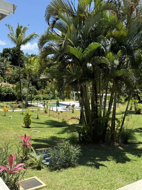 Jardins tropicaux luxuriants du Domaine de la Glacière avec palmiers, fleurs roses et piscine à Petit-Bourg, Guadeloupe
