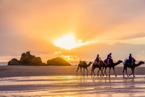 Balade à dos de dromadaire au coucher du soleil sur la plage d’Essaouira au Maroc