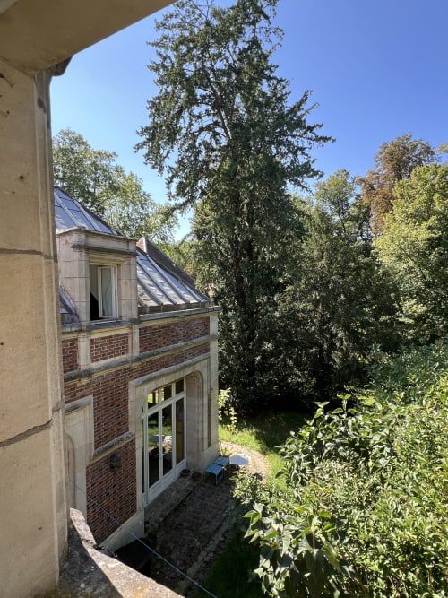 Vue de la suite, arbre, jardin, parc, cachet 